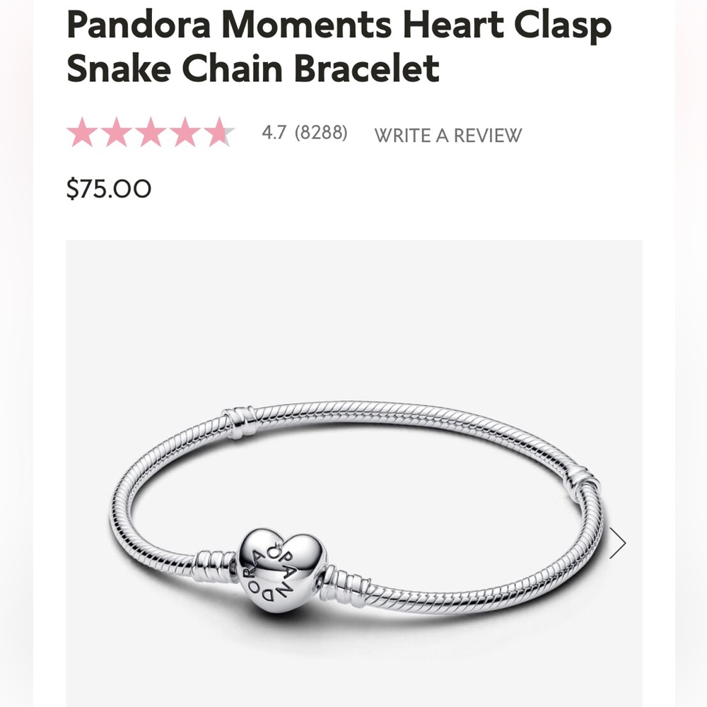 Pandora Moments Bracel Gently Used Excellent Condition